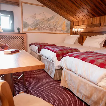 Hôtel Alpen Ruitor-3